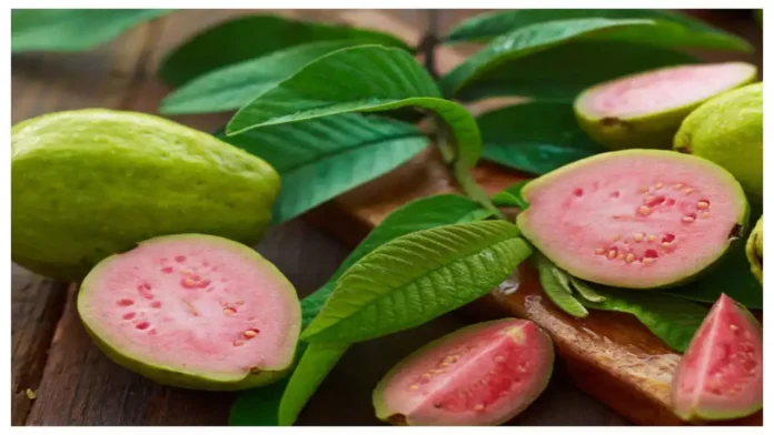Advantages Of Consuming Guava For A Wholesome Coronary Heart